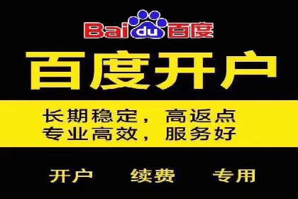 案例分析：竞价推广助力企业快速增长